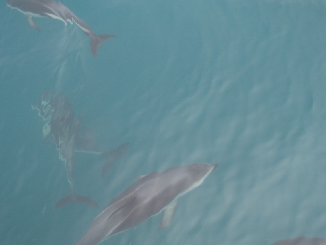 210   30 01   Kaikoura